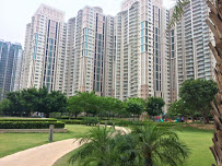 DLF